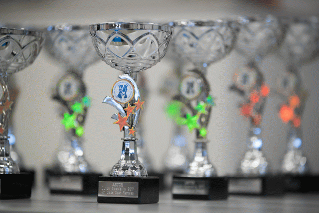 O4I3001 23865714137 O