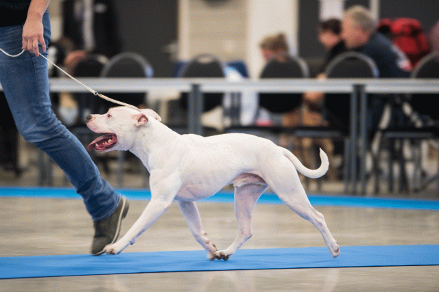 O4I3012 37843121565 O