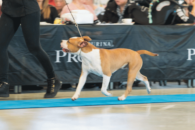 O4I3031 24857722148 O