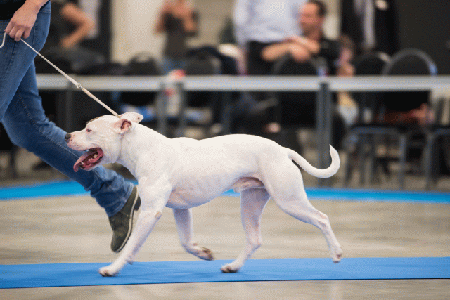 O4I3014 24857723498 O