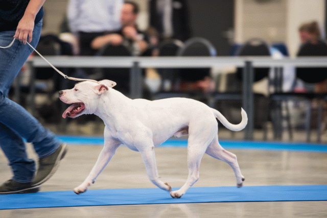 O4I3013 38013578744 O