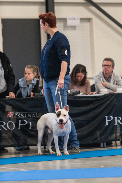 O4I3016 37843119435 O