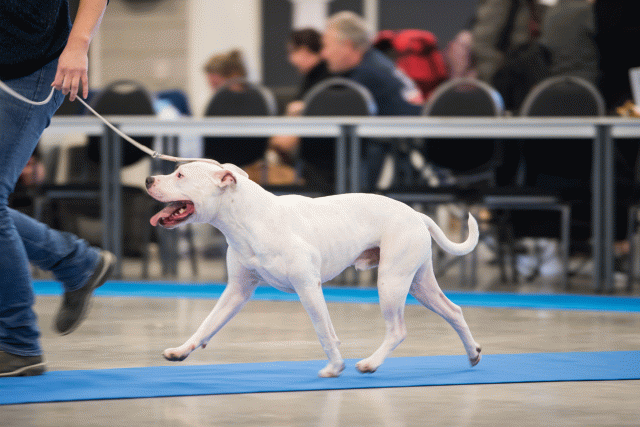 O4I3011 24857727008 O