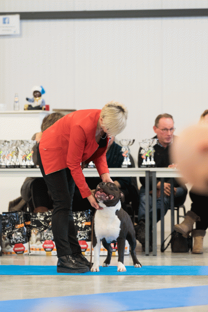 O4I3050 38013574554 O