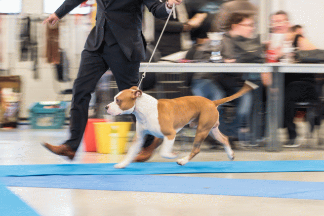 O4I3049 38013575074 O