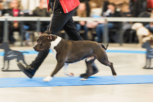 O4I3051 38013574384 O