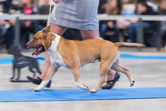 O4I3059 23865701697 O