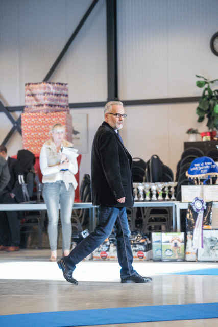 O4I3034 38013576284 O