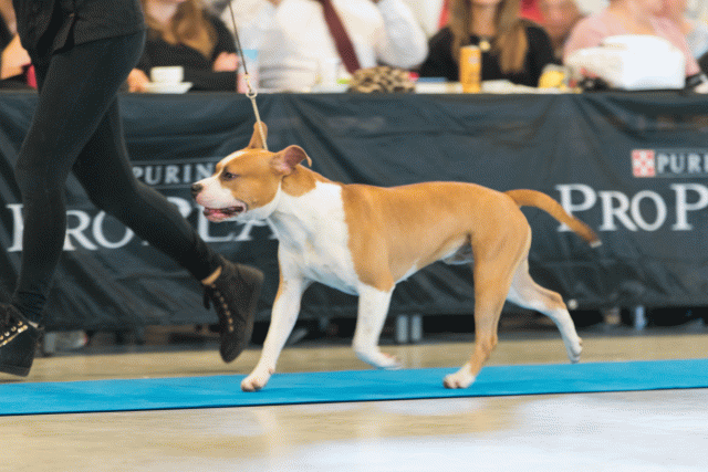 O4I3033 24857721908 O