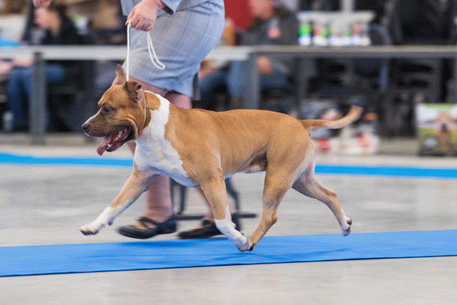 O4I3057 24857720528 O