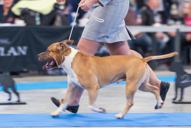 O4I3061 23865700237 O