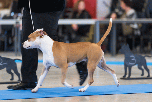 O4I3121 38730765281 O