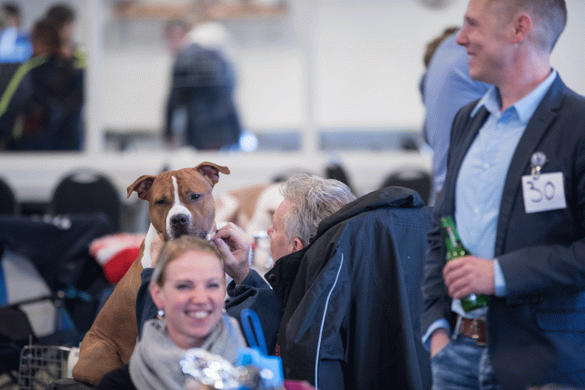 O4I3129 38730762401 O