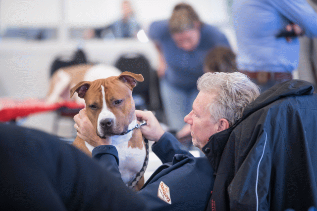 O4I3132 38730760911 O