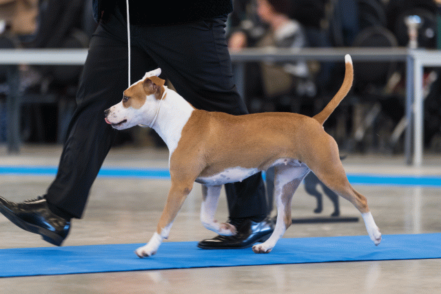 O4I3120 23865698907 O