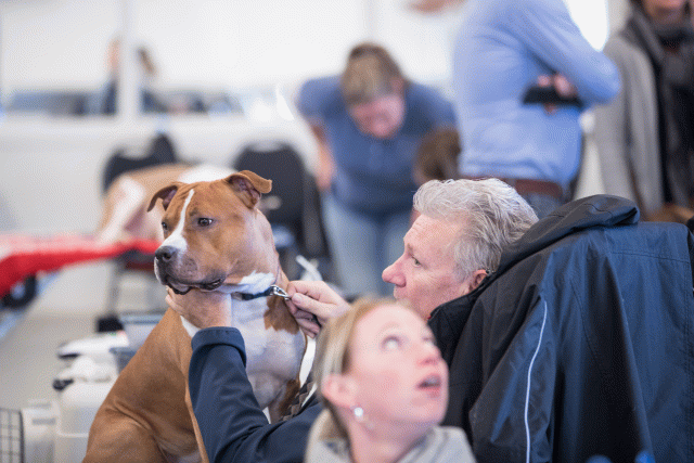 O4I3130 38730761961 O