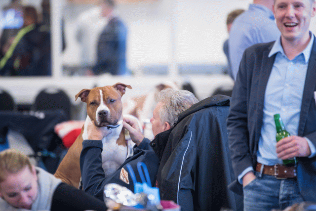 O4I3128 38730762911 O