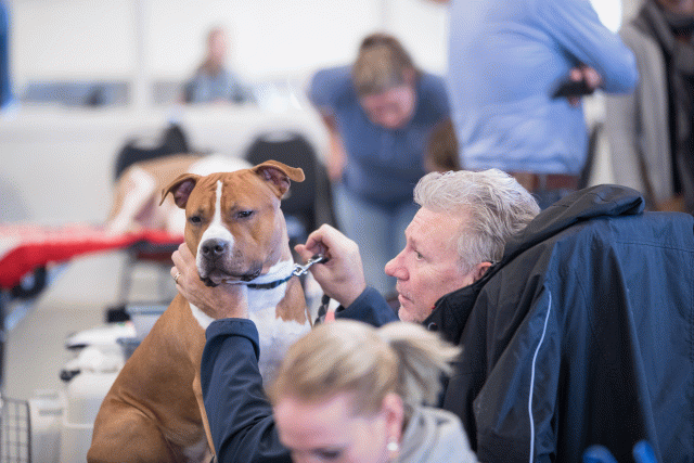 O4I3131 38730761531 O