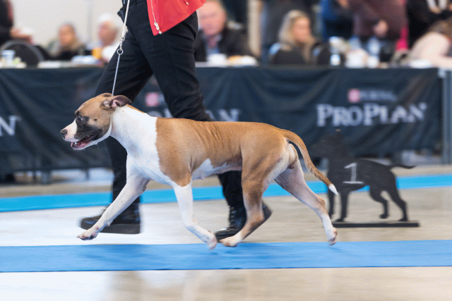 O4I3116 23865699527 O