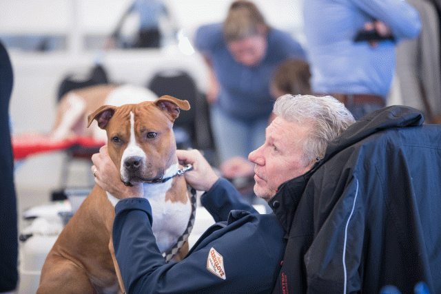 O4I3133 38730760351 O