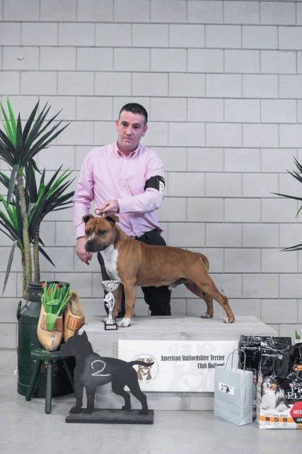 36A6190 38698684512 O