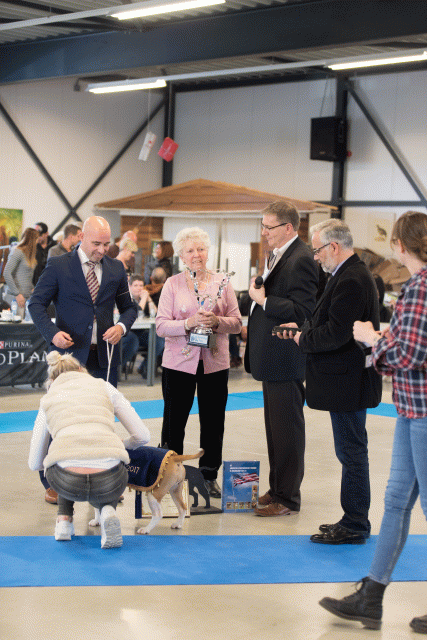 O4I3134 38730759621 O