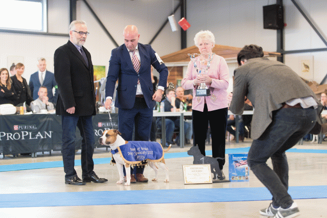 O4I3137 38730758121 O