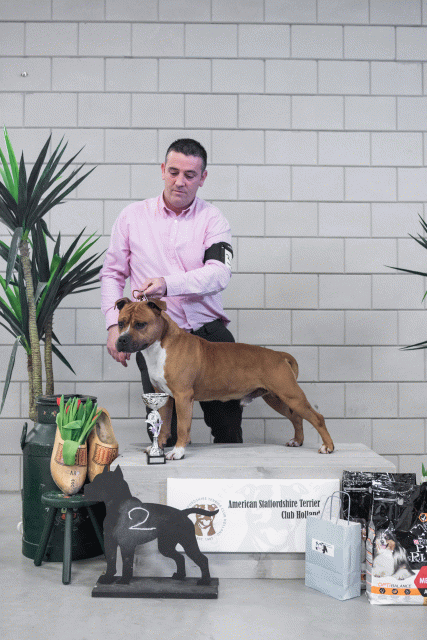 36A6189 37843198495 O