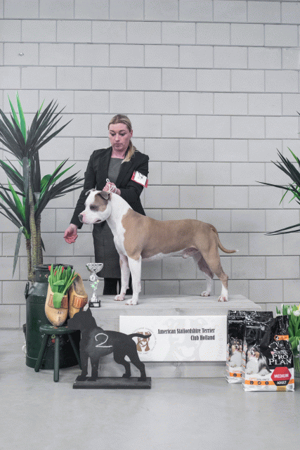 36A6191 37843197285 O