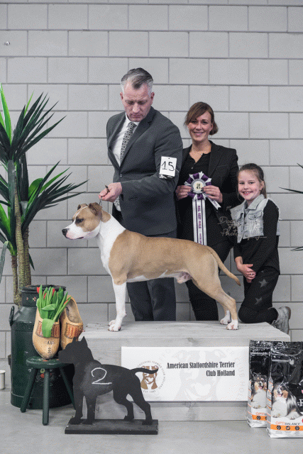 36A6194Small 37843193995 O