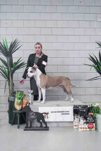 36A6192 38698683562 O