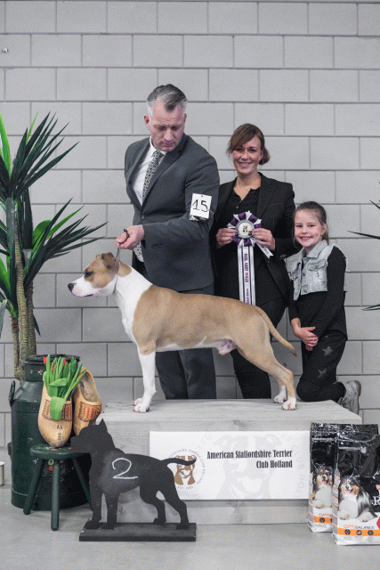 36A6195 38013634604 O