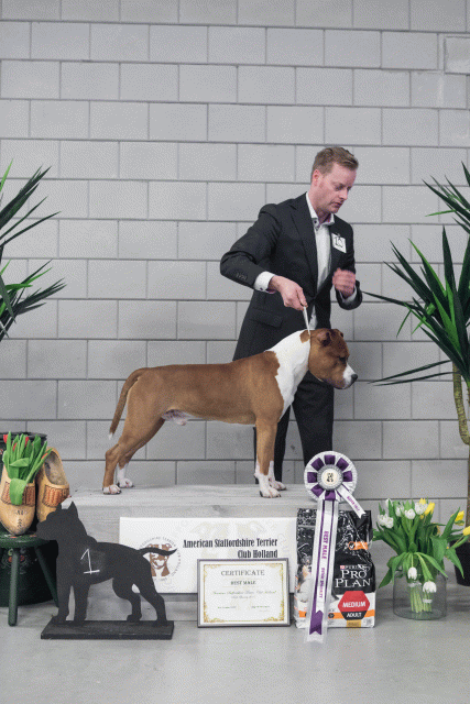 36A6199 38013634004 O