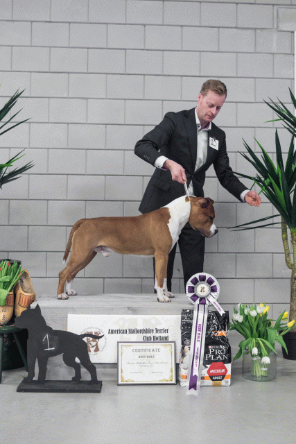 36A6197 38013634194 O