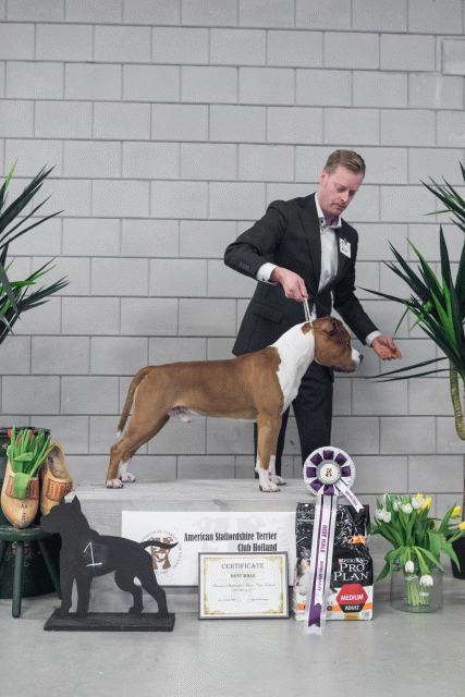 36A6198 37843192585 O