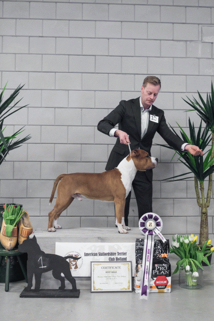 36A6200 38698679592 O