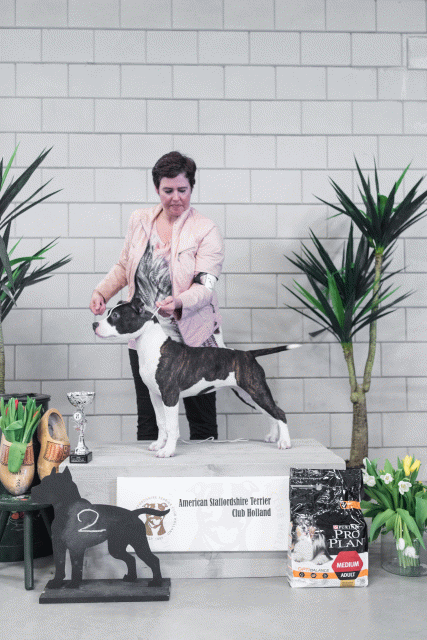 36A6223 23865749067 O