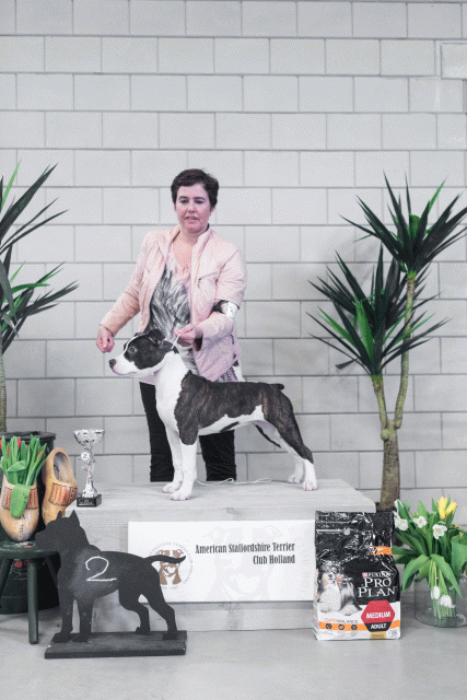 36A6224 23865748817 O