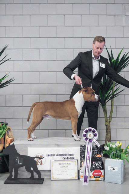 36A6203 37843188675 O