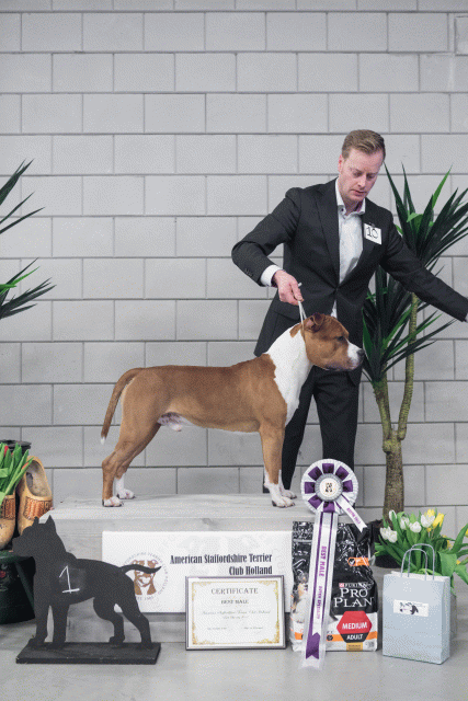 36A6205 24857790828 O