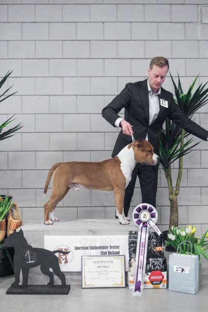 36A6204 23865752077 O