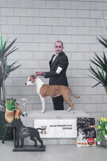 36A6229 38013628364 O