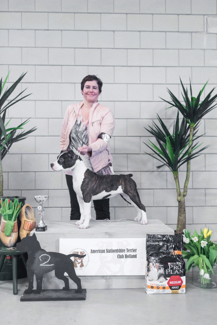 36A6226 38698672462 O