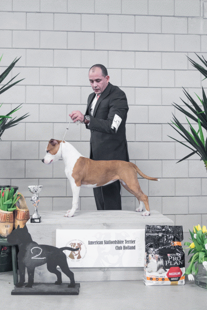 36A6230 26954874749 O