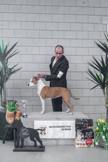 36A6227 38013629174 O