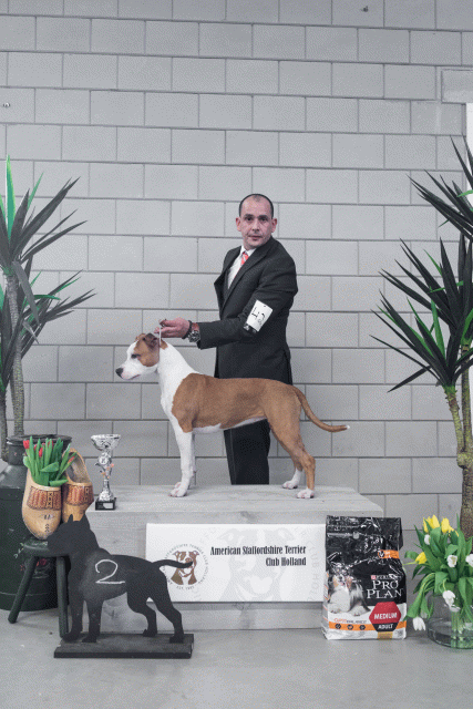 36A6228 38698671702 O