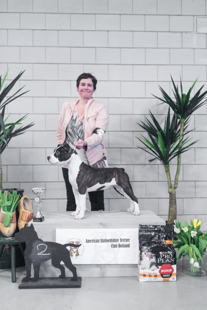 36A6225 23865748447 O