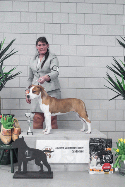 36A6233 38698669442 O