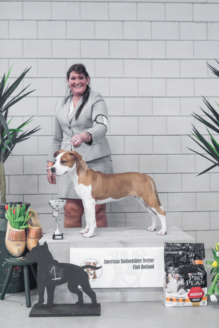 36A6234 38698669092 O