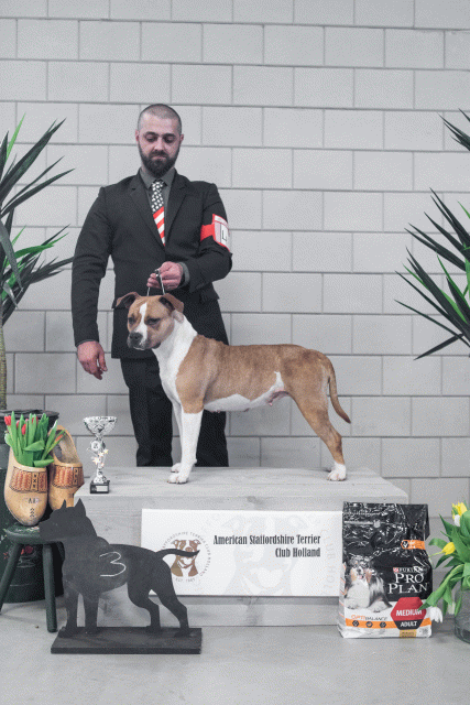 36A6236 26954873089 O